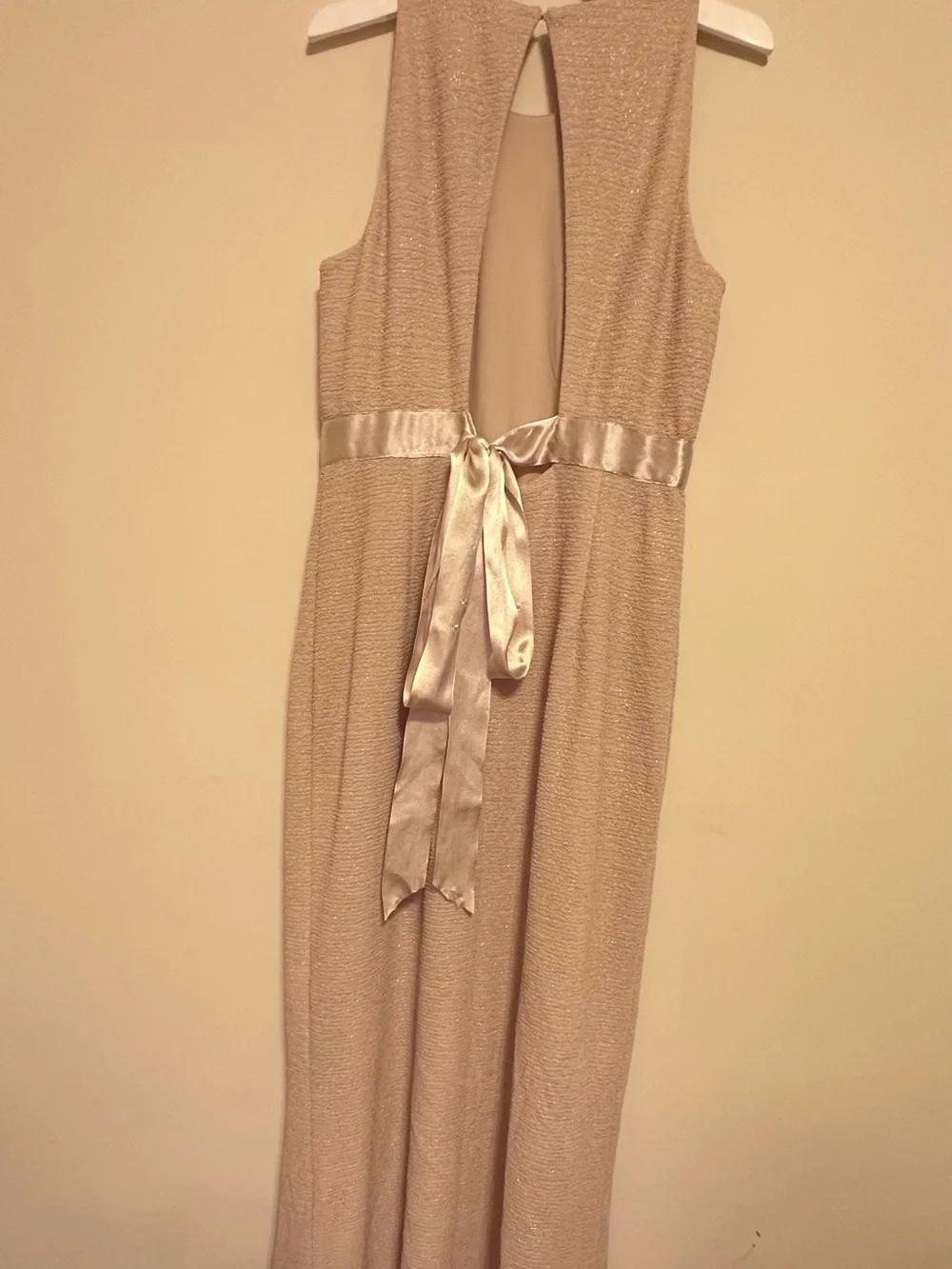 Adrianna Papell Champagne Metallic Maxi Dress Formal Evening Gown Size 6